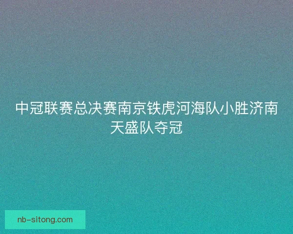 中冠联赛总决赛南京铁虎河海队小胜济南天盛队夺冠